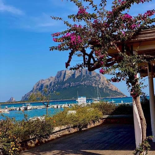 Casa al Mare Vacanze in Sardegna Porto San Paolo