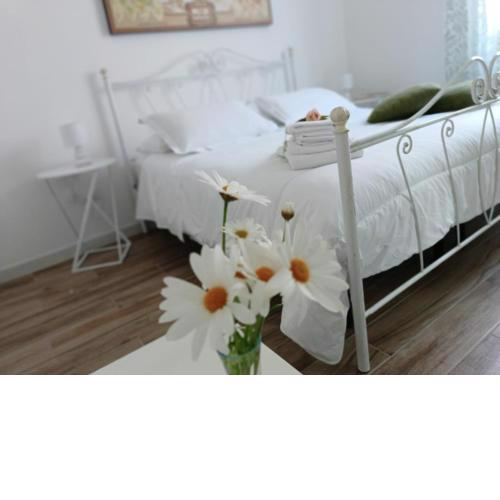 Casa Alinella, Sustainable Hospitality