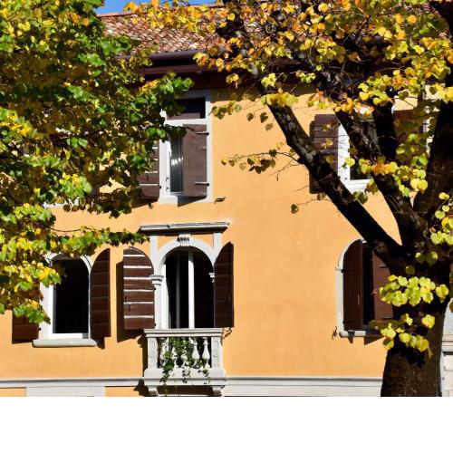 Casa Alpha