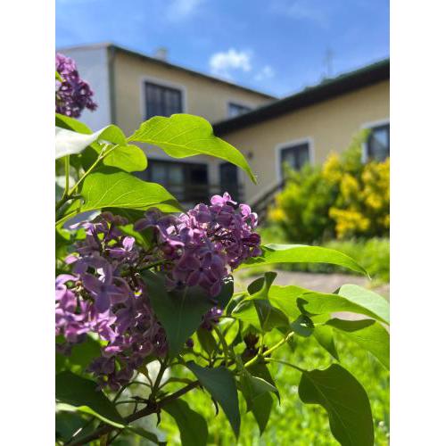 Casa Amalfitana Gols