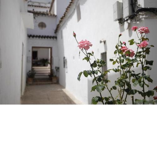 CASA AMARO