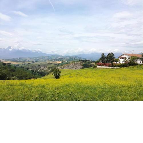 Casa Amrita, Yoga B&B