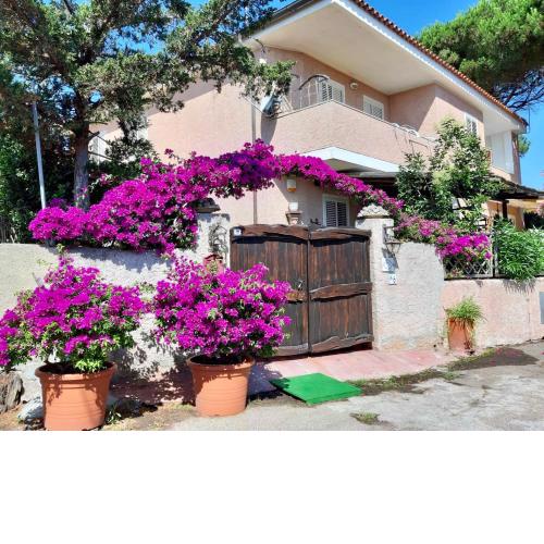 Casa Angelika
