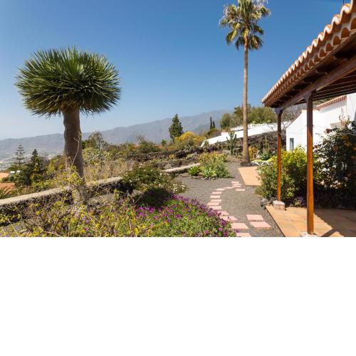 Casa Arándano