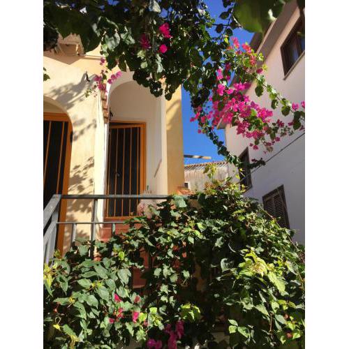 Casa Arborea