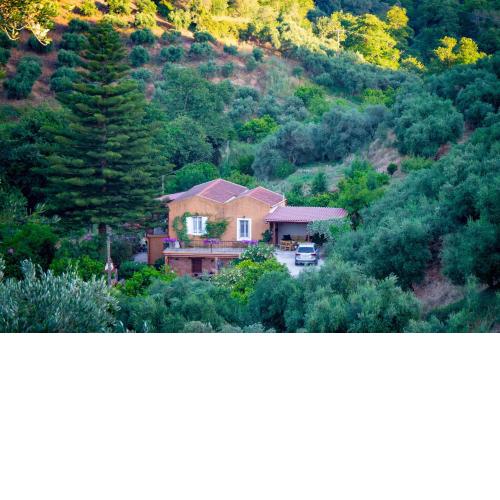 Casa Arokaria