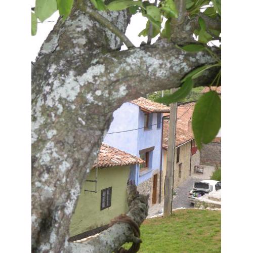 Casa Azul Rodiles