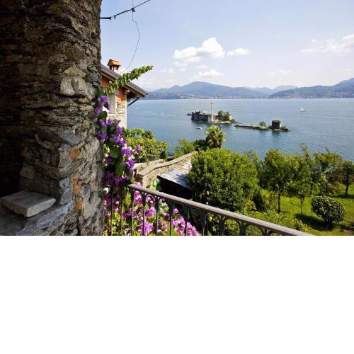 Casa Bougainville
