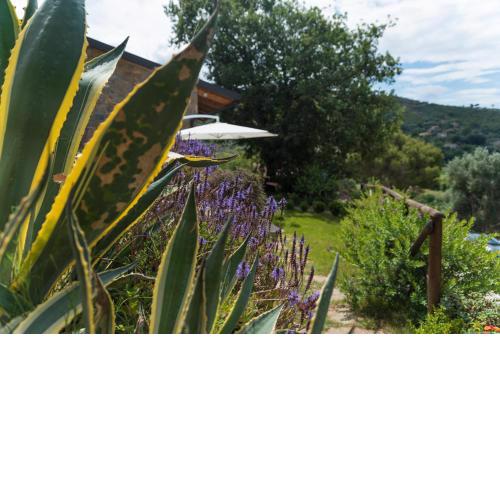 Casa brillocco Castellabate