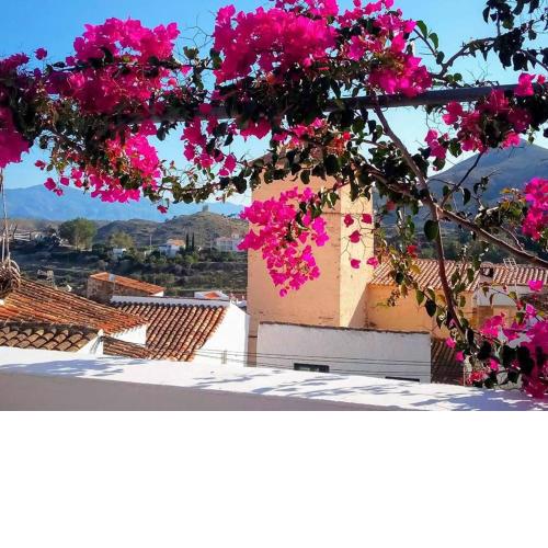 Casa Caballito De Mar Boutique B&B