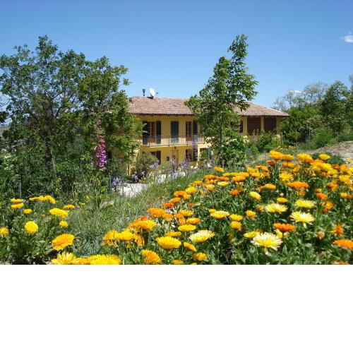 Casa Calendula