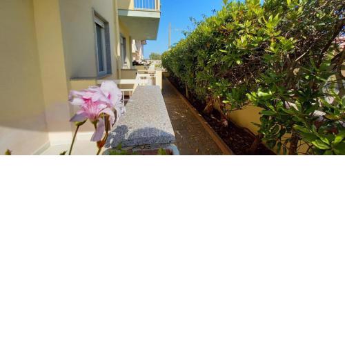 Casa Camelia a 700 metri dal mare