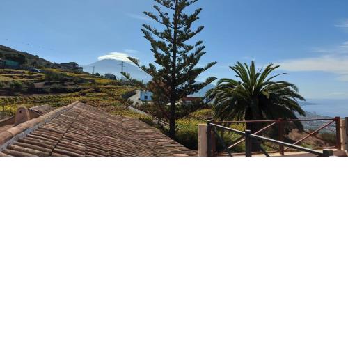 Casa Canarina