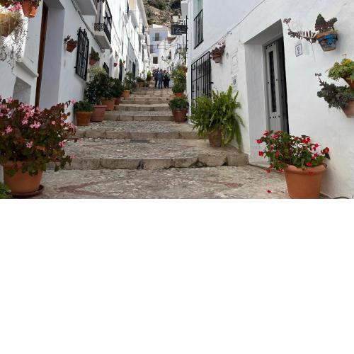 Casa Casco Historico