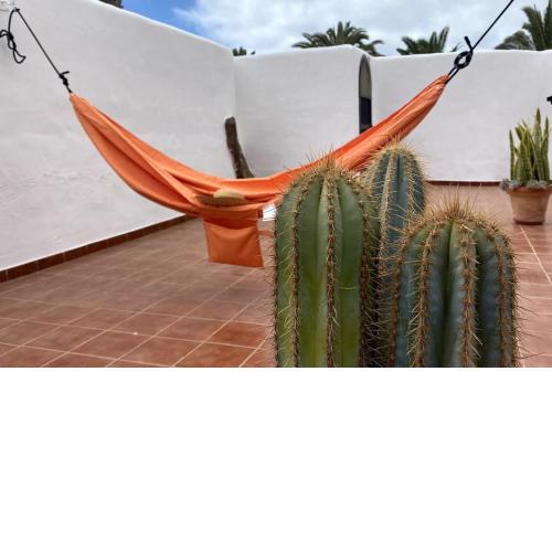 Casa Chinchorro