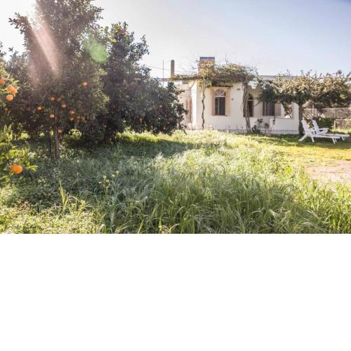Casa Cicala