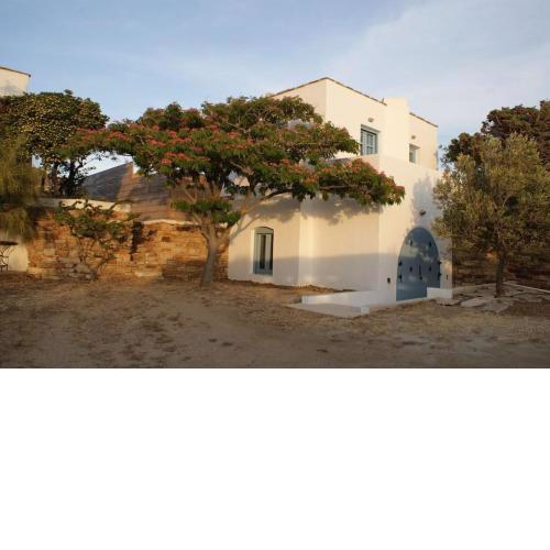 Casa citrus