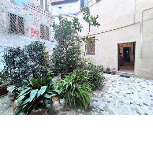 CASA CONTI-nearby Piazza Del Campo