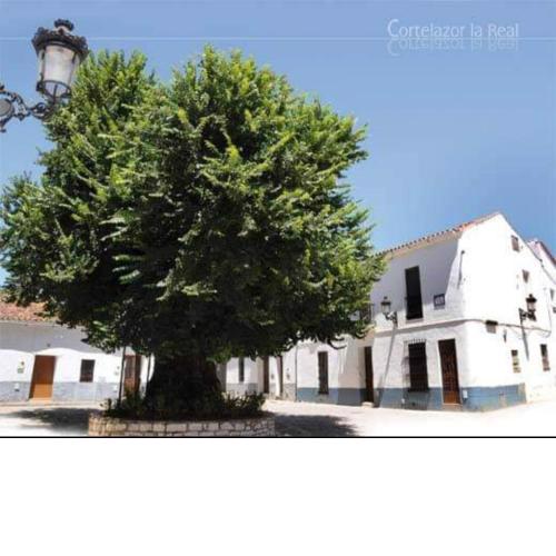 Casa coro