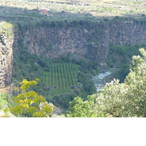 Casa Cuntarati - Nature Tourism