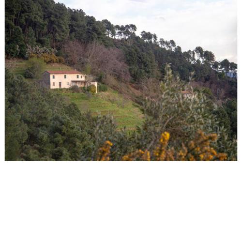 Casa Davide With Pool - Happy Rentals