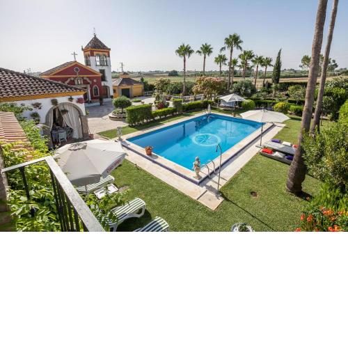 Casa de Campo con Piscina en Sevilla en los Palacios y Villafranca