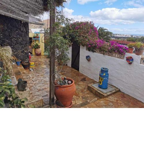 Casa De Gato Rustic Finca