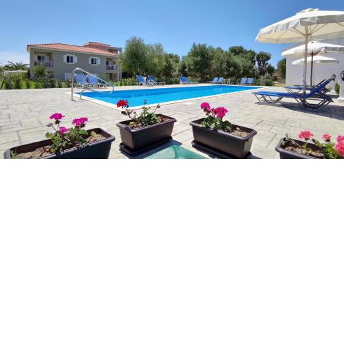 Casa De Rosa Apartments & Studios