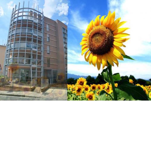 Casa dei girasoli