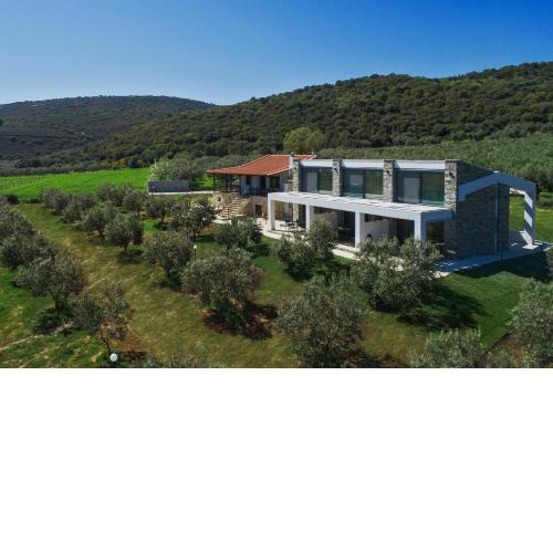 Casa Del Olivar