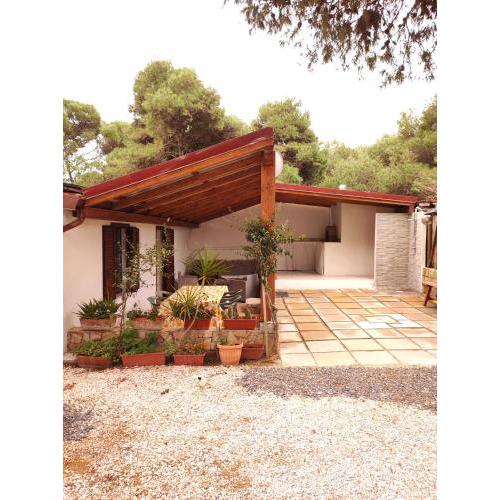 Casa del Pino