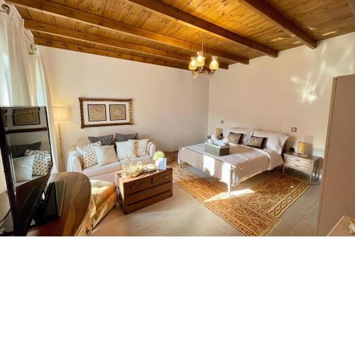 Casa Delicosta-Elegant home with garden near Meteora, Trikala