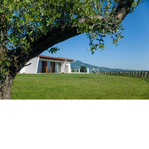 Casa delle More