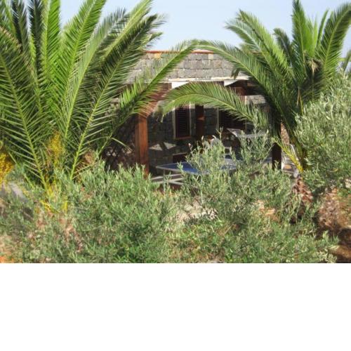 casa delle palme