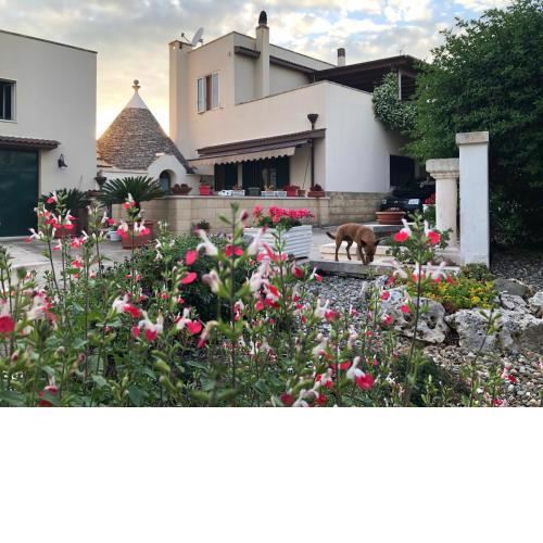 Casa delle Rondini