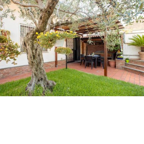 Casa dell'Ulivo
