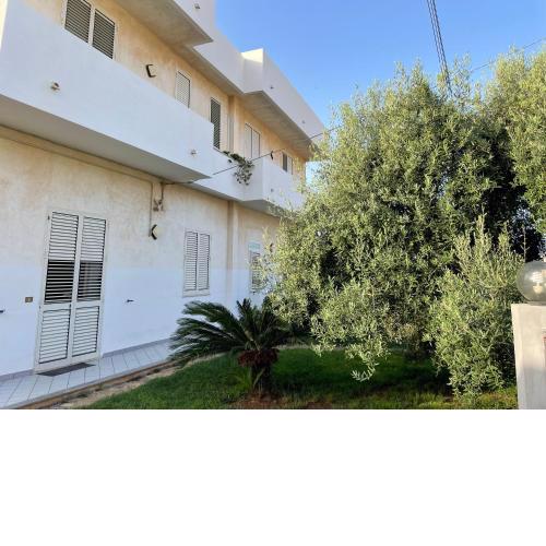 Casa dell'Ulivo