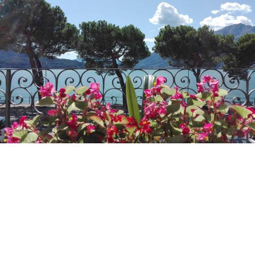 Casa d'epoca fronte lago a Domaso lago di Como
