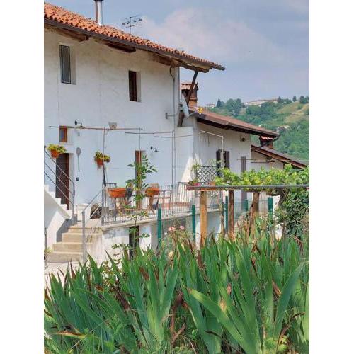 Casa di campagna Il melo tra vigne e noccioli.