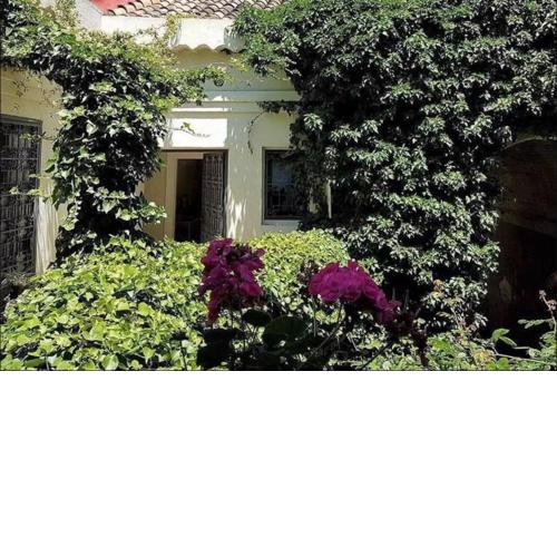 Casa di Ida