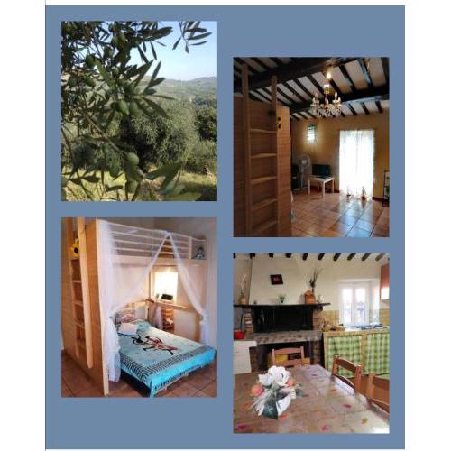 Casa di Olly - Loft incantevole con camino