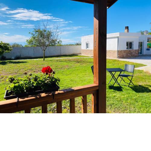 CASA DOMINATY