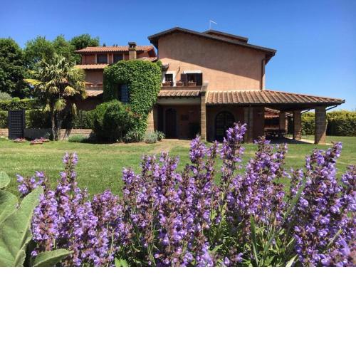 casa Dorotea