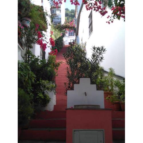 CASA EL CALLEJON DE BENAMAHOMA
