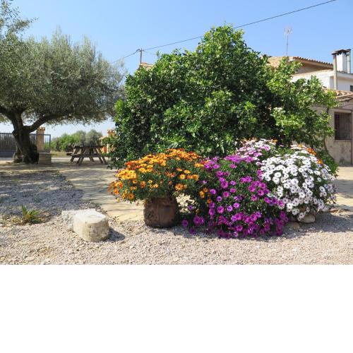 Casa El Ros II - Turistrat