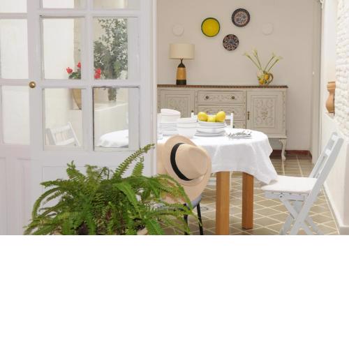 Casa en pleno centro EL LEÓN BLANCO 6 personas TERRAZA CON VISTAS