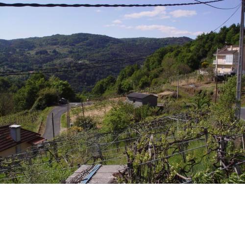 Casa en Ribeira Sacra