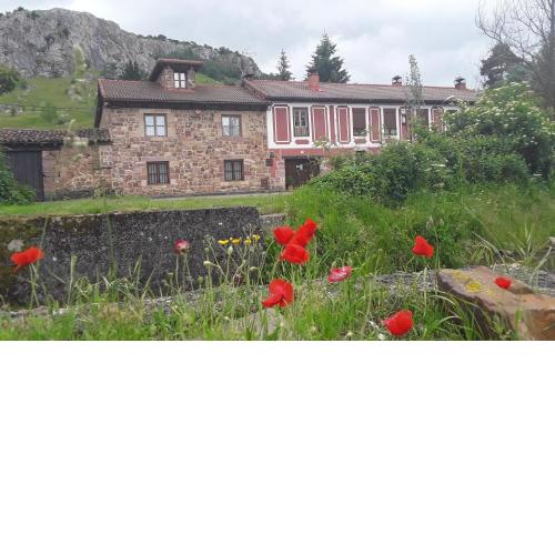 Casa Entrenidos