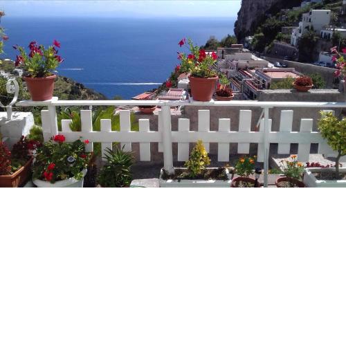 CASA ENZO