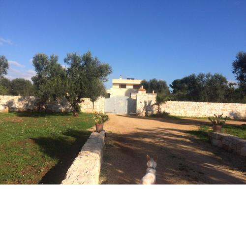Casa Eva